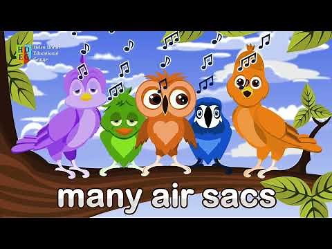Head, Thorax, Abdomen | Science Songs for Children | Helen Doron Song Club