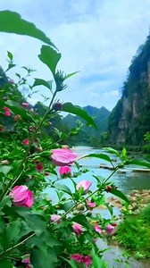 1.3M views · 5.5K reactions | A most beautiful flowers . . . ... #naturelover #nature #naturephotography #naturelovers #photography #landscape #photooftheday #perfection #travel #travelphotography #wildlife #love #flowers #ig #sunset #landscapephotography #instagood #photo #macro #beautiful #picoftheday #mountains #sky #birds #hiking #instagram #photographer #naturephoto #forest #wanderluster | nature care | Facebook