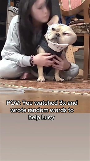 POV: You watched 3x and wrote random words to help Lucy