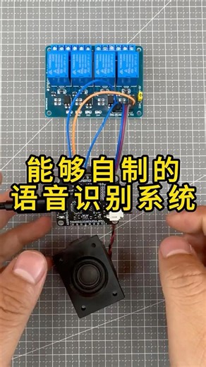 🎤 我绝不允许你不知道这个10块钱的语音控制板I can’t believe you don’t know this $1 voice control board