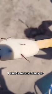 NUEVO SABOR!🍦 | Radio Horizonte Salto Encantado