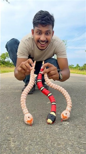 3 different Remote Control Snake 🐍