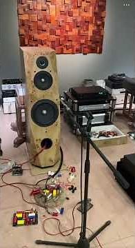 How to Design and DIY Floor-Standing Speakers – Complete Build Guide