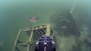 Exploring fish cribs on the North Shore of Crystal Lake. The broken crib was intact last fall, and has since fallen apart- the fish don't mind. Check out the musky cameo at the end as it flies in on the right side of the screen - I missed on this one y'all. Disappointed I didn't get the shot there, but I will make up for it with a wicked musky video for you on Fish Friday. Hit that 'Follow' button so you don't miss it! Thanks for watching! | Divebots