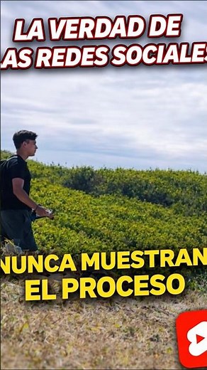 Como nos afectan las redes sociales