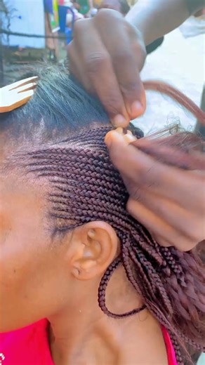 Baby Divvy: A Journey of Discovery