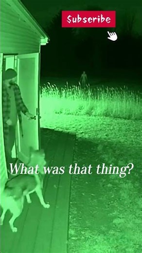 The Dog Wouldn’t Stop Barking at the Dark Field