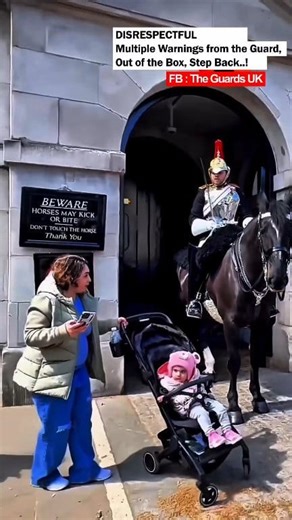 42K views · 286 reactions | Multiple Warnings from the Guard, Out of the Box, Step Back..! #lifeguards #amazinguk #Respect #horseguards | The Guards UK | Facebook