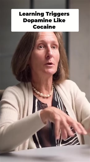 How new things change your brain 🤯 Rat studies show how learning and dopamine work. Drugs like meth hijack the process. #BrainHacks #Dopamine #Neuroscience #ScienceTok