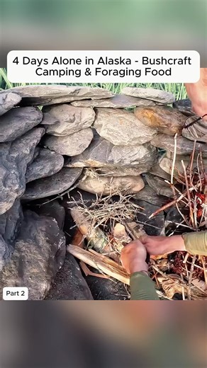 Foraging in Alaska: Bushcraft Camping Adventure