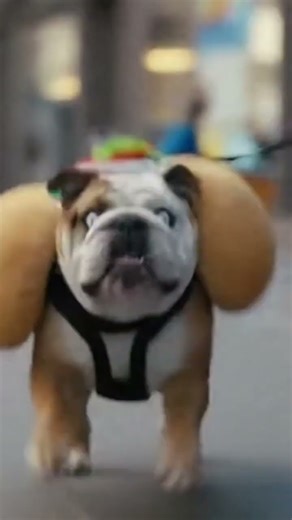 Hot Dog Runaway! 🌭🐕