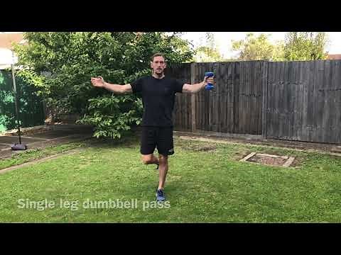 Single Leg Dumbbell Pass