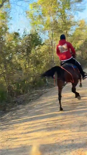 17K views · 334 reactions | I told yall when I’m n lab ion play games my 2nd ride on her. Once we get a full understanding and how I want her to race it’s war time… #StandardbredHorses #PacingLife #blackexcellence #3rdCoastBloodedStables | Chris Lee | Facebook