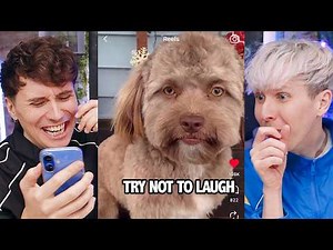 Forcing Dan to watch my TikTok likes until he cries