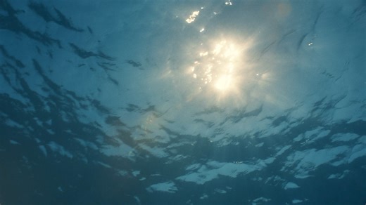 462 reactions · 13 shares | Discover the beauty of cruising. Choose from 22 ships and sail to over 240 destinations around the world with #MSCCruises #ForAGreaterBeauty https://bit.ly/4aCO7bC | MSC Cruises | Facebook