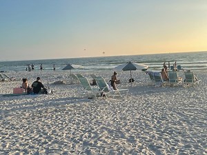 Red Tide Levels Improving At Sarasota County Beaches: Officials