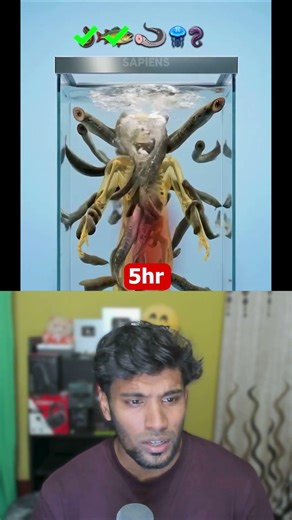 What Happens If You Fall Into a LEECH POOL?