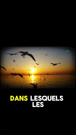 Bon ou Mauvais Augure le Secret des Prêtres