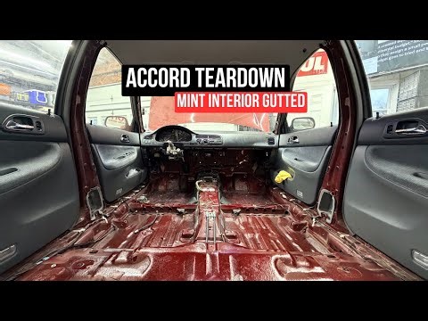 Accord Fully Stripped Down