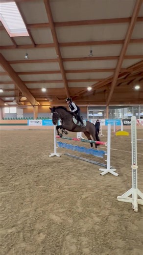 Show Jumping Training and Flips
