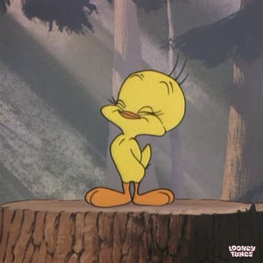 ルーニー・テューンズ公式 on Instagram: "今日（1月13日）は「#成人の日」🌈 ご成人のみなさん、おめでとうございます～！🎉 記念すべき今日が、素敵な1日になりますように💛 #トゥイーティー も、パシャパシャ📷と思い出をいっぱい残しているようです🐥 #みたねこたん#ルーニーテューンズ #シルベスター #成人式 #looneytunes #tweety #sylvester #sylvesterthecat #animation #cartoon"