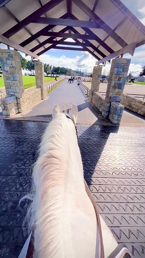 Riding a Palomino Paint Horse in Scenic Stables