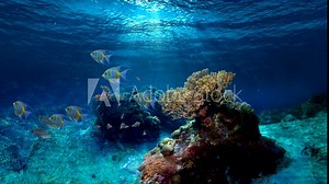 Underwater animated loop. Coral reef with tropical fish. Seamless looping. Fish and corals are AI generated images.