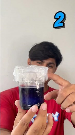 Egg & vinegar Experiment