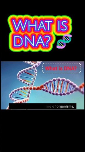 What is DNA? | DNA Explained in Simple Terms 🧬