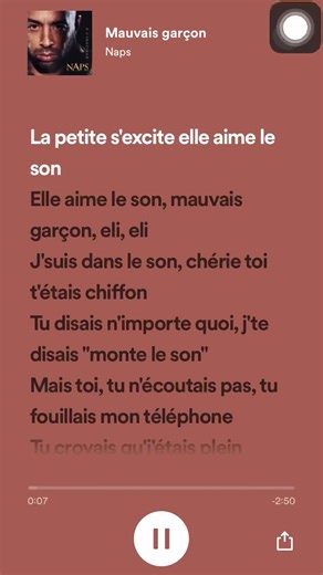 Naps - Mauvais Garçon #fypシ #foryou #pourtoi #viral #naps #mauvaisgarcon (part 1)