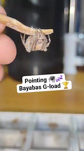 Pointing tutorial 🕷️💤 #bayabasgload #25xchamp #kadagit @topfans #followersreels #fbreels2025ツ #fb #fbreelsfypシ゚viralシ #fbreelsvideo #spiderman #90s #gagamba #GAGAMBOY #spider | Ryan Kadagit