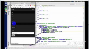 Python在线教程-Flask-Bootstrap，flash传递消息-2