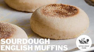 4.1K views · 114 reactions | A delicious sourdough english muffin recipe that requires NO yeast. It's an easy, overnight recipe that we make at our farmhouse on Little Spoon Farm regularly! This recipe has been tested with King Arthur flour but you can use your flour of preference! | Little Spoon Farm | Facebook