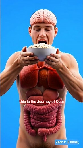 What Oats Do to Your Body 3D Animation Oats #Oatmeal #Breakfast #BetaGlucan