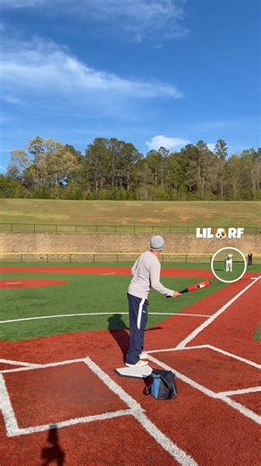 Dog Mistakes Chest for Glove!