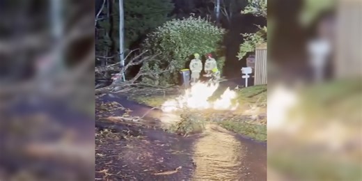 Watch: Lightning strike sparks fire, explodes tree, and ruptures gas and water main in New South Wales