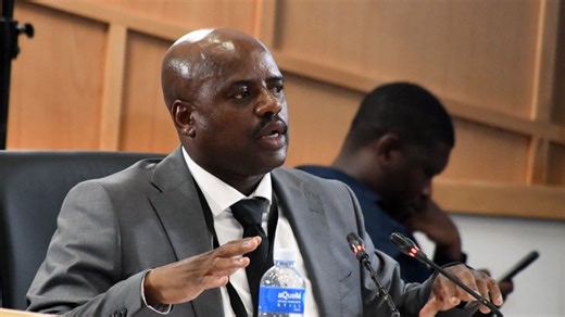 CAT VIP had ‘good intentions’ for EMPD, says Mkhwanazi