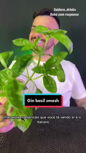 Gin Basil Smash: A Delightful Classic Cocktail Recipe