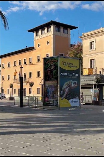 Primi passi a Palma di Mallorca *Pulita* - #shorts #shortvideo #beach #city #travel#subscribe