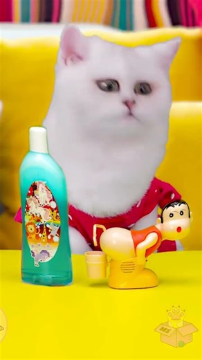 Misteri Bubble Maker: Kucing Lucu dan Suara Menggemaskan! | ASMR #shorts
