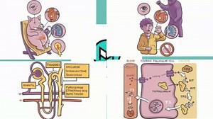 Crisp, clean pages with no marks or folds - feels new. ~ BooksRun: cheaper books, every time!