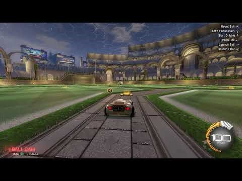 Learning how to double flip reset