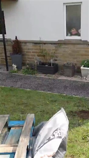 Here's a quick look at one of our recent driveway transformations! 😍 This time-lapse shows just how fast and effortless it is to lay down a gravel driveway with Ecoraster's grid paving systems. In just a short span, the entire space goes from bush clearing and sub-base prep to a sharp, professional-looking finish. With no fuss and no wasted time, these homeowners quickly got a clean, durable, and sustainable driveway! 📈 It’s no wonder the complete DIY walkthrough by The DIY Fix has already pul