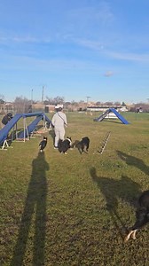 Ça bosse, mais sa joue aussi 🐕🐕‍🦺🐺 | Pascal Mathieu