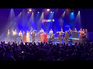Lapinlahden Linnut - Piuhat irti 8.11.2025 - Sateet tulevat