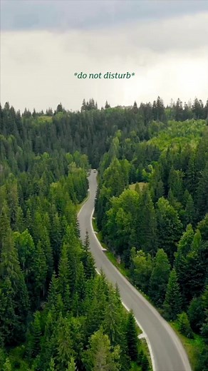 25K views · 27 reactions | Gonna linger here in the Smoky Mountains....