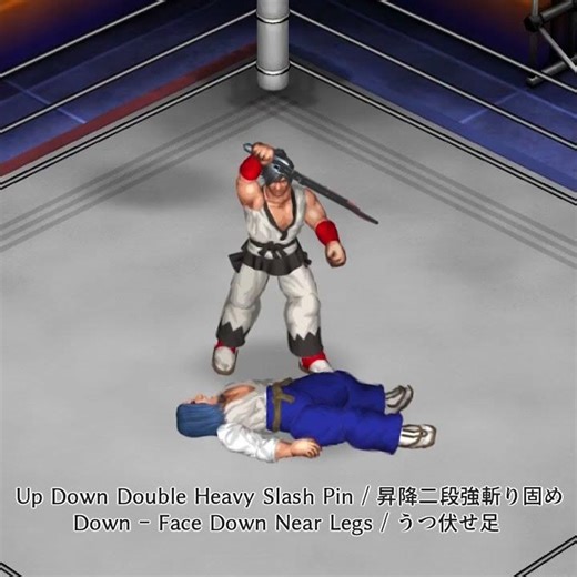 UpDownDoubleHeavySlashPin 昇降二段強斬り固め #FirePro #ファイプロ #MoveCraft #技クラフト