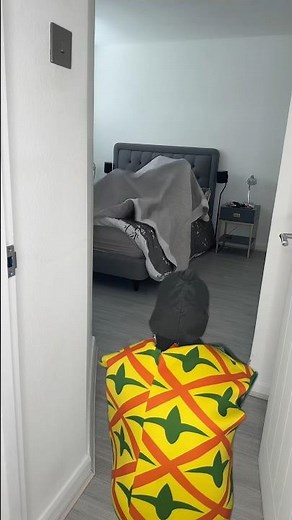 The face of realisation 😂 #comedy