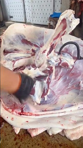 Cattle slaughter techniques | Beef | Meat handlers | Deboning | Shorts recommendations | Going viral