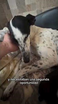 Nuevo rescate urgente: una familia al complet 😱.